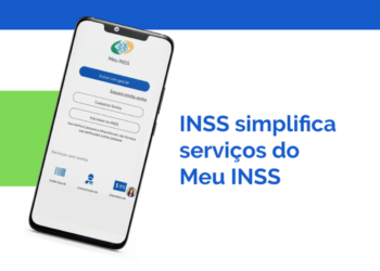 Conferir status do benefícios pelo Meu INSS. Imagem: Portal Gov br