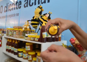 Como é o funcionamento do Programa Acredita