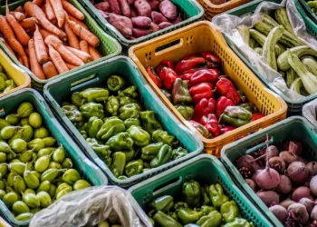 Projeto visa distribuição de alimentos para mulheres vulneráveis