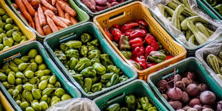 Projeto visa distribuição de alimentos para mulheres vulneráveis