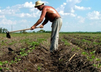 Todo trabalhador tem direito do FGTS. Imagem: Agência Brasil