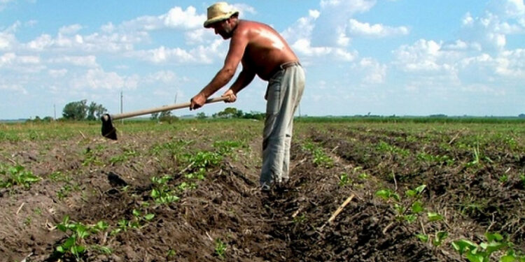 Todo trabalhador tem direito do FGTS. Imagem: Agência Brasil