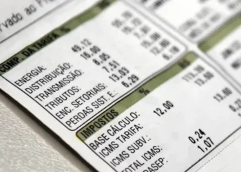 Detalhe da fatura de energia elétrica com custos discriminados, incluindo distribuição, impostos e encargos, relacionada ao programa de tarifa grátis de luz em 2025.