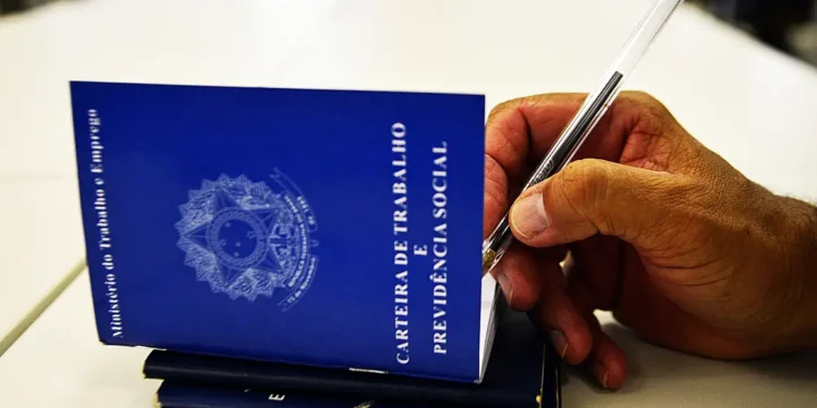 Pessoa preenche informações em uma Carteira de Trabalho e Previdência Social