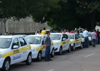 Carros de autoescola parados na rua, esperando alunos para aulas de direção.