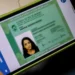 Exemplo de carteira de identidade digital brasileira no celular