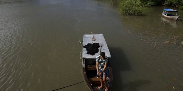 Pescador em barco no rio cercado por vegetação, símbolo da pesca artesanal.