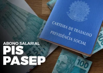 Carteira de Trabalho e Previdência Social e notas de R$ 100 com texto Abono Salarial PIS PASEP sobre a imagem.