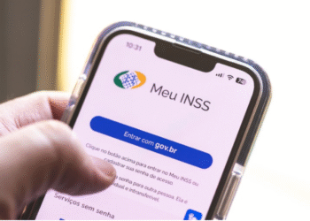 Tela de login do aplicativo Meu INSS com botão 'Entrar com gov.br' e instruções de acesso.