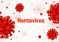 Partículas vermelhas de vírus e nome Hantavírus em destaque.