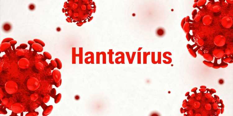 Partículas vermelhas de vírus e nome Hantavírus em destaque.