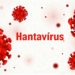 Partículas vermelhas de vírus e nome Hantavírus em destaque.