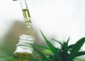 Conta-gotas com óleo dourado de CBD pingando em frasco de vidro, com folhas verdes de cannabis ao fundo em fundo desfocado