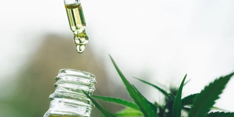 Conta-gotas com óleo dourado de CBD pingando em frasco de vidro, com folhas verdes de cannabis ao fundo em fundo desfocado