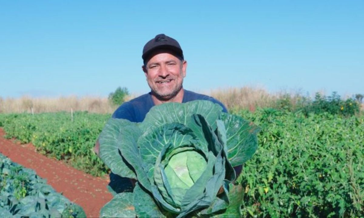 Agricultor familiar segurando grande hortaliça em área de plantação rural
