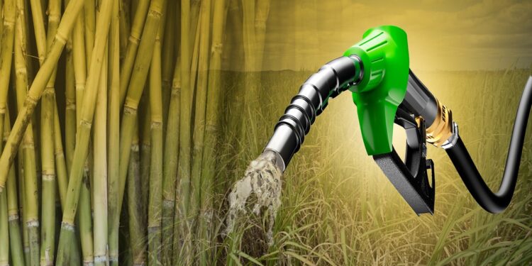 Bomba de combustível verde simula etanol escoando em plantação de cana-de-açúcar