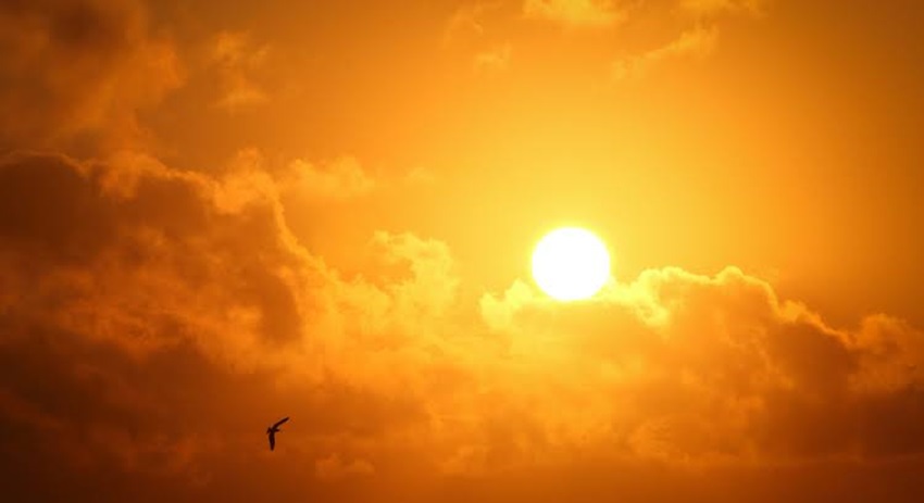 Sol forte no céu alaranjado com nuvens e ave voando em destaque à esquerda