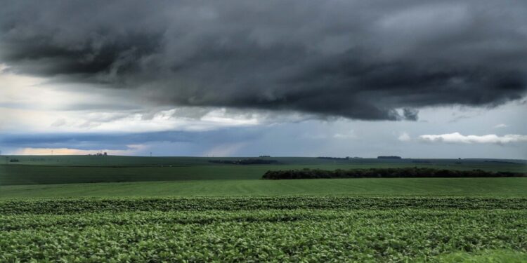 Nuvens escuras de tempestade cobrindo lavoura verde em campo aberto