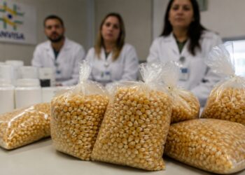 Sacos de milho para pipoca sobre uma mesa, com técnicos de jaleco e o logotipo da Anvisa ao fundo, representando o recolhimento do produto com rótulo irregular.
