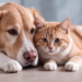 Cachorro e gato deitados juntos no chão.