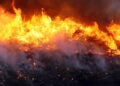 Incêndio florestal com labaredas e coluna de fumaça sobre a vegetação, cena que representa os focos de calor monitorados pelo Ministério da Saúde.