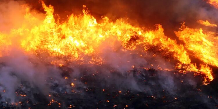 Incêndio florestal com labaredas e coluna de fumaça sobre a vegetação, cena que representa os focos de calor monitorados pelo Ministério da Saúde.