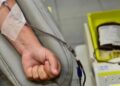 Doador de sangue durante a coleta em hemocentro, procedimento que dá direito a falta justificada no trabalho pela CLT