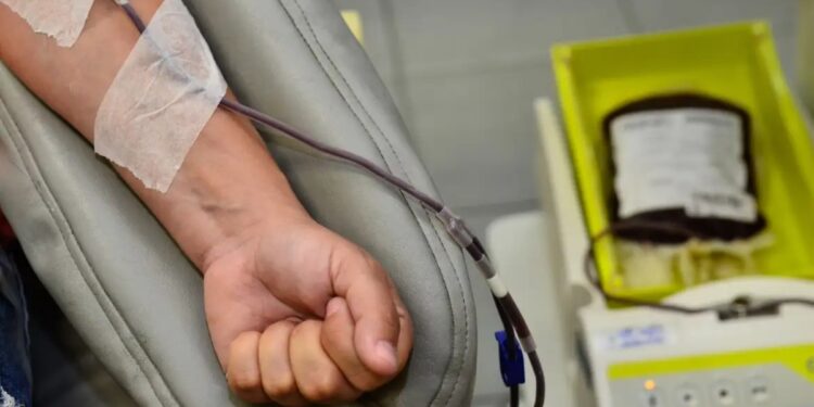 Doador de sangue durante a coleta em hemocentro, procedimento que dá direito a falta justificada no trabalho pela CLT
