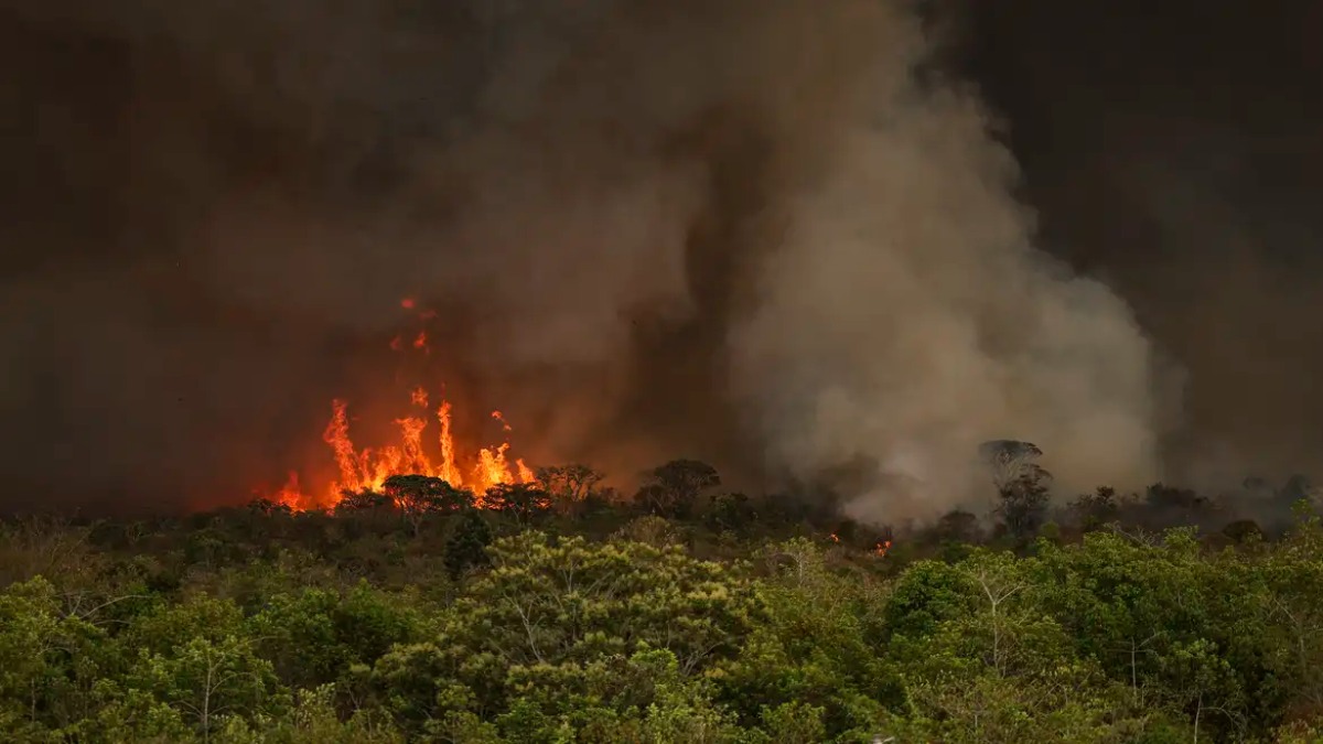 Vegetação em chamas com fogo intenso e fumaça, cena que representa as queimadas que afetam a qualidade do ar no país.