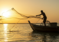 Pescador lança rede no mar ao pôr do sol em cenário sereno.