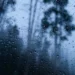 Chuva e frente fria no Centro-Sul do Brasil, com previsão de queda brusca de temperatura em setembro.