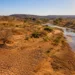 Região rural seca, com solo rachado e rio com pouca água sob forte sol.