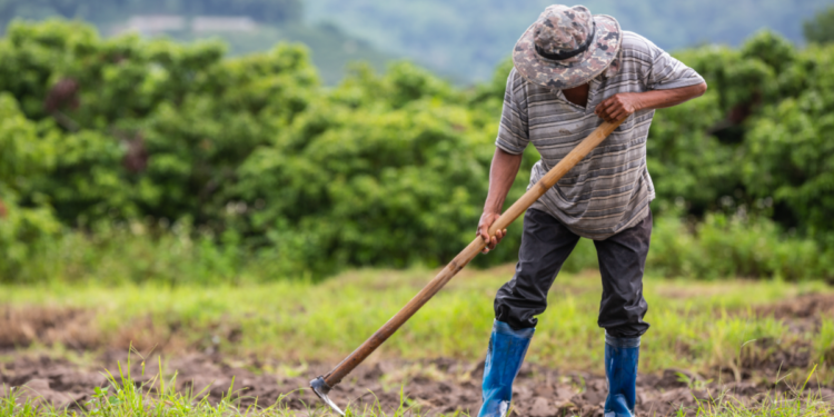 Trabalhador rural lavra solo com enxada em cenário verde.