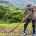 Trabalhador rural lavra solo com enxada em cenário verde.