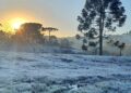 Campo coberto por geada ao amanhecer, com araucárias em silhueta e o sol nascendo ao fundo, em área rural do Sul do país.
