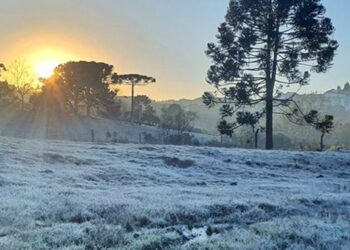 Campo coberto por geada ao amanhecer, com araucárias em silhueta e o sol nascendo ao fundo, em área rural do Sul do país.